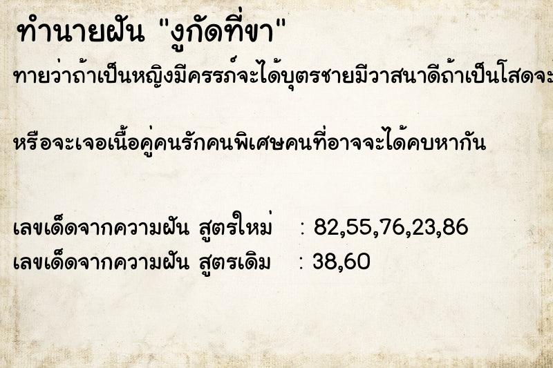 ทำนายฝัน งูกัดที่ขา