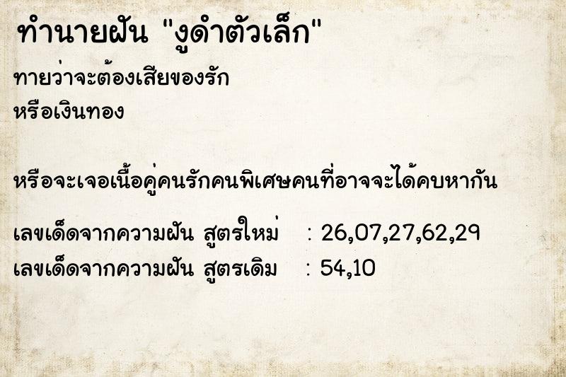 ทำนายฝันงูดำตัวเล็ก ทำนายฝันทำนายฝันงูดำตัวเล็ก