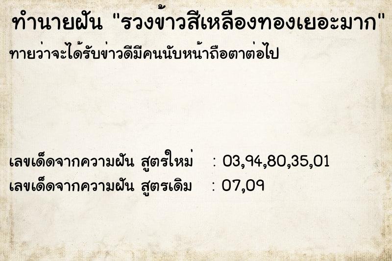 ทำนายฝันรวงข้าวสีเหลืองทองเยอะมาก ทำนายฝันทำนายฝันรวงข้าวสีเหลืองทองเยอะมาก