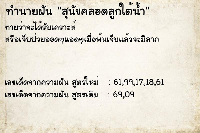 ทำนายฝันสุนัขคลอดลูกใต้น้ำ ทำนายฝันทำนายฝันสุนัขคลอดลูกใต้น้ำ