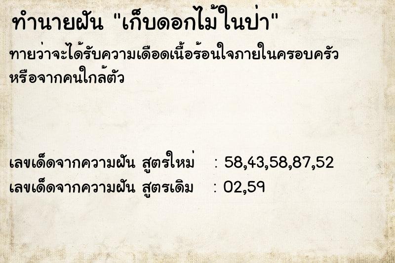 ทำนายฝันทำนายฝันเก็บดอกไม้ในป่า