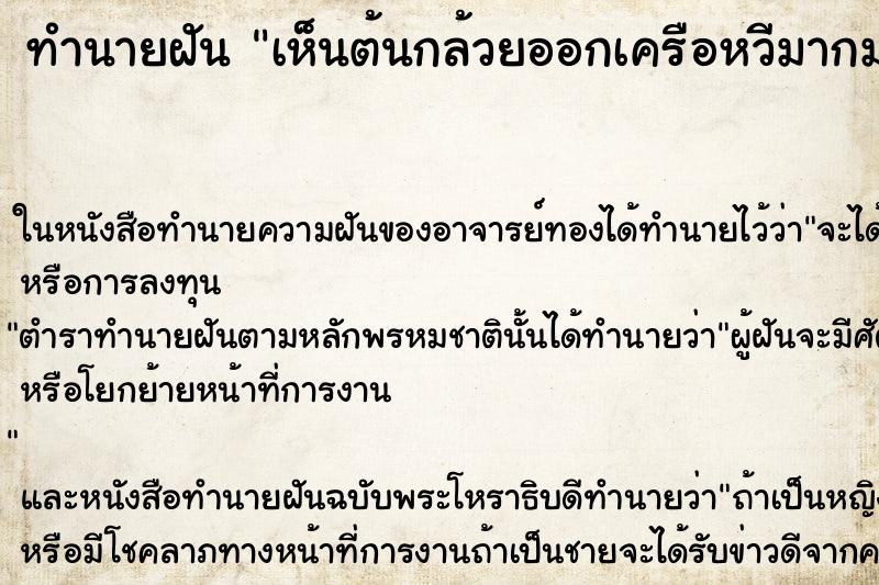 ทำนายฝัน เห็นต้นกล้วยออกเครือหวีมากมาย ทำนายฝัน เห็นต้นกล้วยออกเครือหวีมากมาย