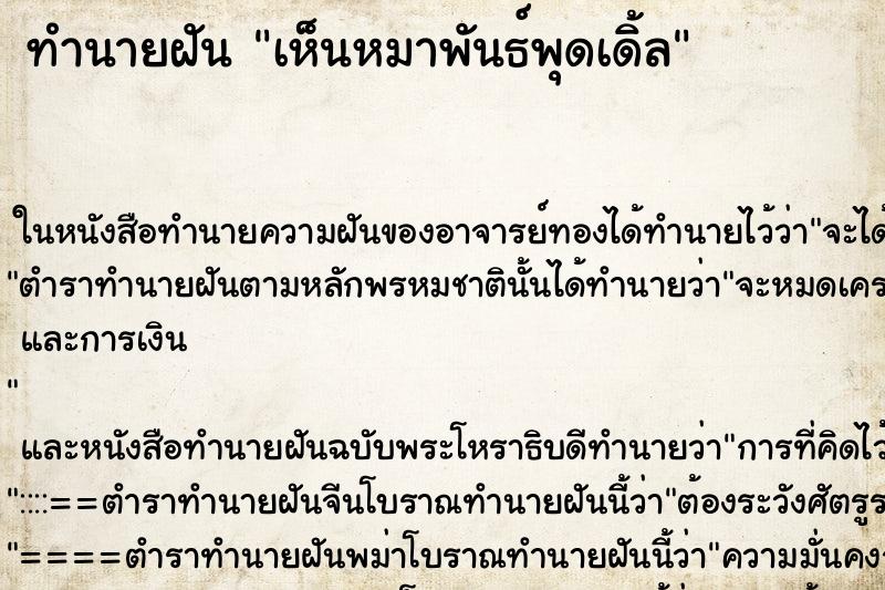 ทำนายฝัน เห็นหมาพันธ์พุดเดิ้ล