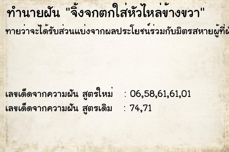 ทำนายฝันจิ้งจกตกใส่หัวไหล่ข้างขวา ทำนายฝันทำนายฝันจิ้งจกตกใส่หัวไหล่ข้างขวา