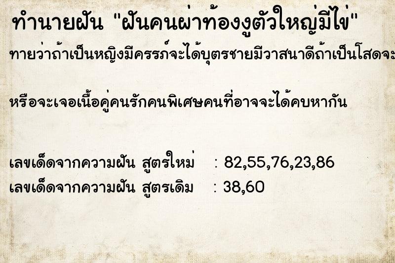ทำนายฝันฝันคนผ่าท้องงูตัวใหญ่มีไข่ ทำนายฝันทำนายฝันฝันคนผ่าท้องงูตัวใหญ่มีไข่