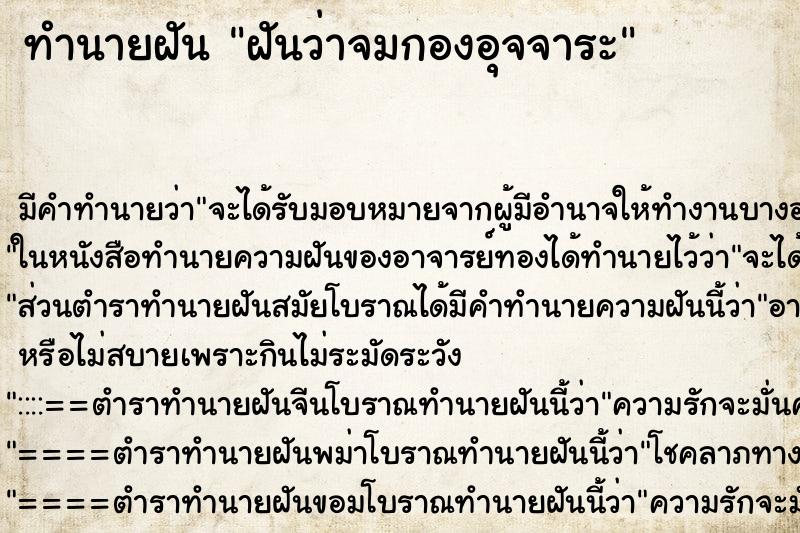 ทำนายฝันฝันว่าจมกองอุจจาระ ทำนายฝันทำนายฝันฝันว่าจมกองอุจจาระ