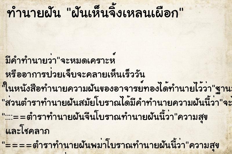 ทำนายฝันฝันเห็นจิ้งเหลนเผือก ทำนายฝันทำนายฝันฝันเห็นจิ้งเหลนเผือก