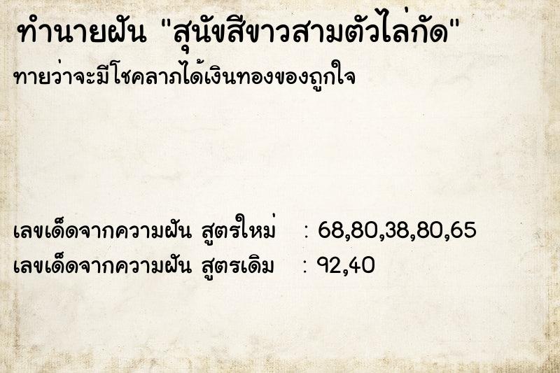 ทำนายฝัน สุนัขสีขาวสามตัวไล่กัด