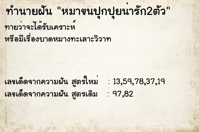 ทำนายฝันทำนายฝันหมาขนปุกปุยน่ารัก2ตัว