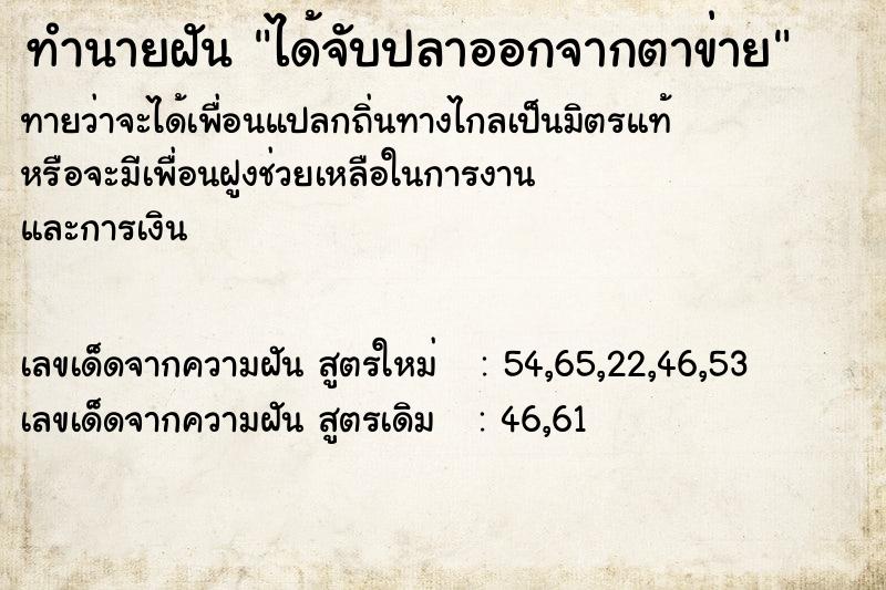 ทำนายฝันได้จับปลาออกจากตาข่าย ทำนายฝันทำนายฝันได้จับปลาออกจากตาข่าย