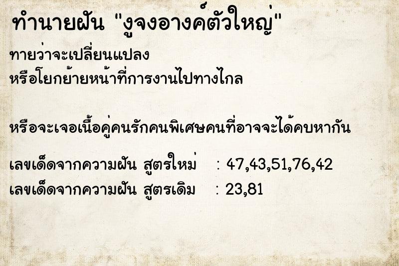 ทำนายฝัน งูจงอางค์ตัวใหญ่ ทำนายฝัน งูจงอางค์ตัวใหญ่