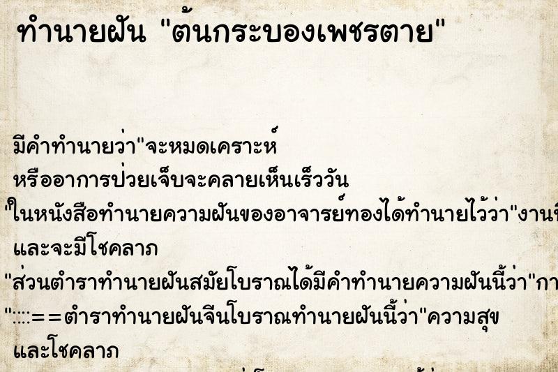 ทำนายฝัน ต้นกระบองเพชรตาย ตำราโบราณ แม่นที่สุดในโลก