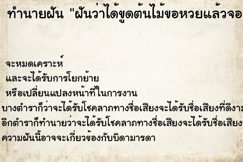 ทำนายฝันทำนายฝันฝันว่าได้ขูดต้นไม้ขอหวยแล้วจอเลข