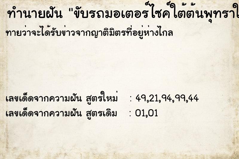 ทำนายฝันขับรถมอเตอร์ไซค์ใต้ต้นพุทราใหญ่ ทำนายฝันทำนายฝันขับรถมอเตอร์ไซค์ใต้ต้นพุทราใหญ่