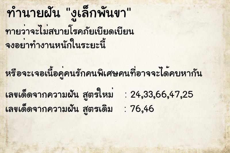 ทำนายฝันงูเล็กพันขา ทำนายฝันทำนายฝันงูเล็กพันขา