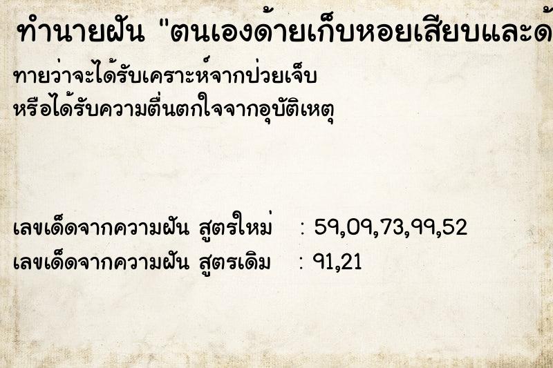 ทำนายฝันตนเองด้ายเก็บหอยเสียบและด้ายจับด้วย ทำนายฝันทำนายฝันตนเองด้ายเก็บหอยเสียบและด้ายจับด้วย