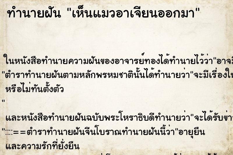 ทำนายฝัน เห็นแมวอาเจียนออกมา ทำนายฝัน เห็นแมวอาเจียนออกมา