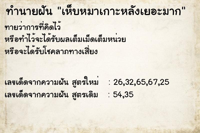 ทำนายฝันเห็บหมาเกาะหลังเยอะมาก ทำนายฝันทำนายฝันเห็บหมาเกาะหลังเยอะมาก
