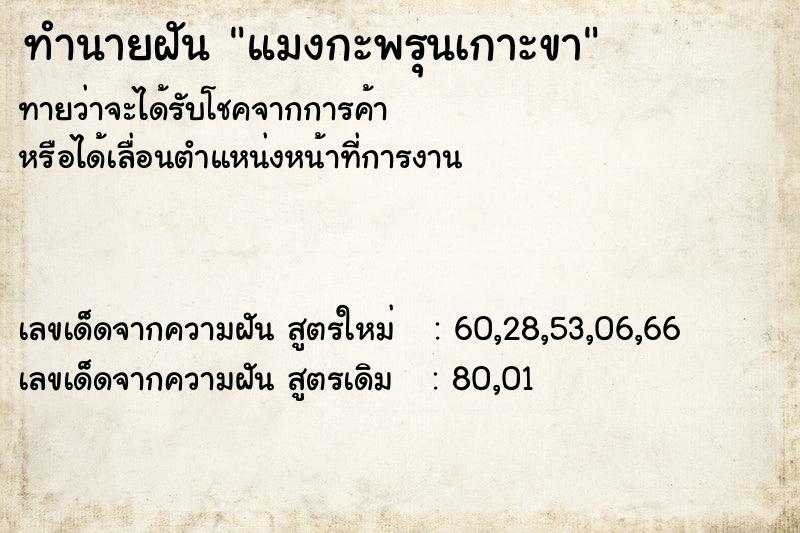 ทำนายฝันทำนายฝันแมงกะพรุนเกาะขา