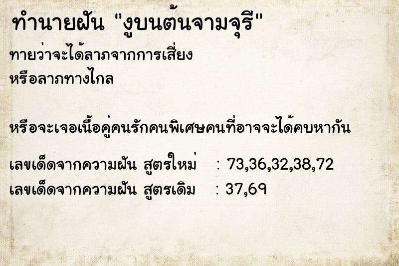 ทำนายฝัน งูบนต้นจามจุรี