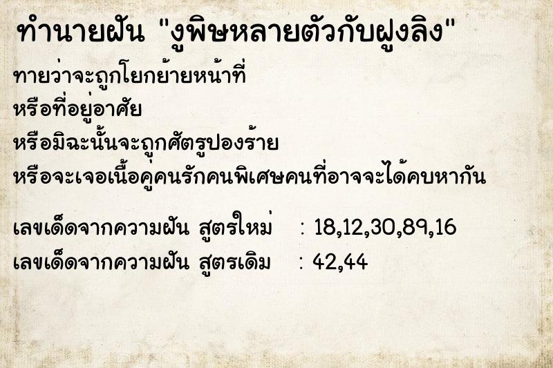 ทำนายฝันงูพิษหลายตัวกับฝูงลิง ทำนายฝันทำนายฝันงูพิษหลายตัวกับฝูงลิง