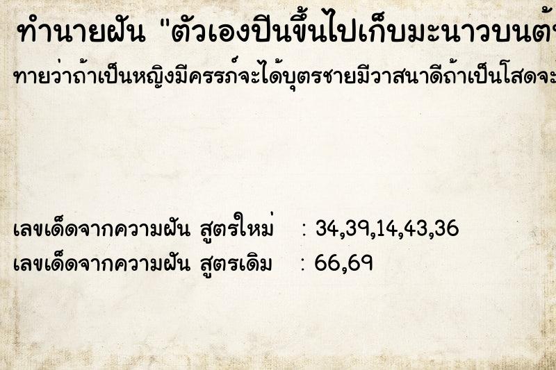 ทำนายฝันตัวเองปีนขึ้นไปเก็บมะนาวบนต้น ทำนายฝันทำนายฝันตัวเองปีนขึ้นไปเก็บมะนาวบนต้น
