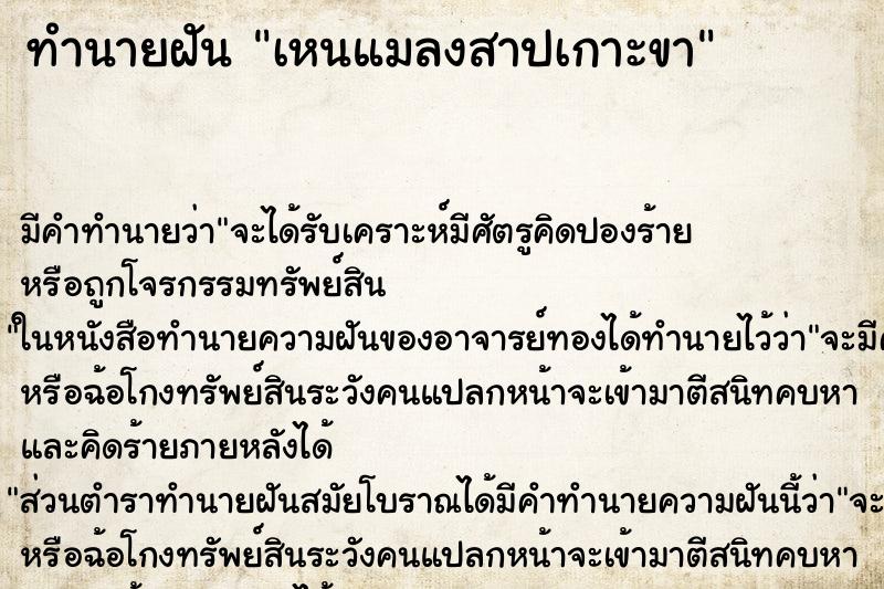 ทำนายฝัน เหนแมลงสาปเกาะขา ทำนายฝัน เหนแมลงสาปเกาะขา