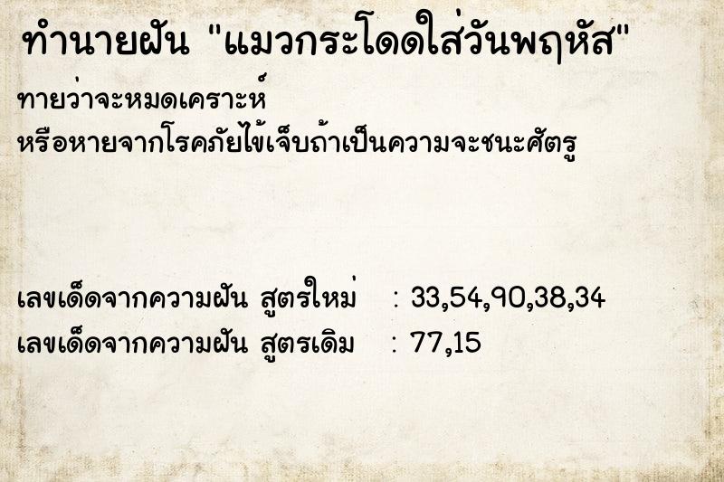 ทำนายฝันแมวกระโดดใส่วันพฤหัส ทำนายฝันทำนายฝันแมวกระโดดใส่วันพฤหัส