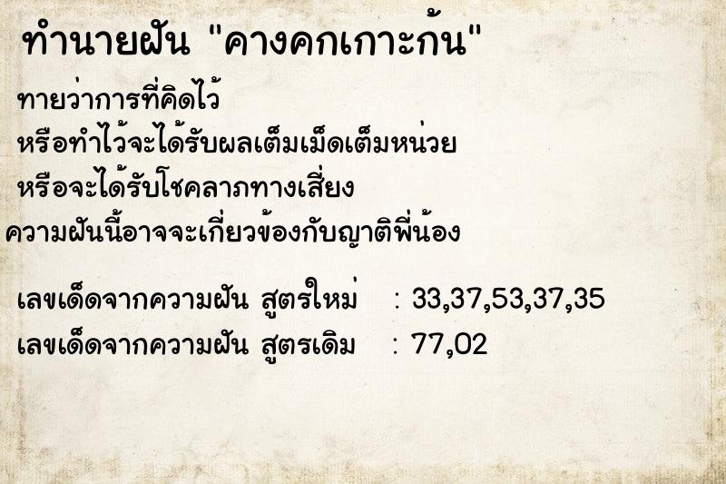 ทำนายฝันคางคกเกาะก้น ทำนายฝันทำนายฝันคางคกเกาะก้น