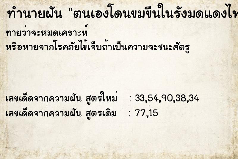 ทำนายฝัน ตนเองโดนขมขืนในรังมดแดงไฟ