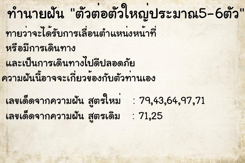 ทำนายฝันตัวต่อตัวใหญ่ประมาณ5-6ตัว ทำนายฝันทำนายฝันตัวต่อตัวใหญ่ประมาณ5-6ตัว