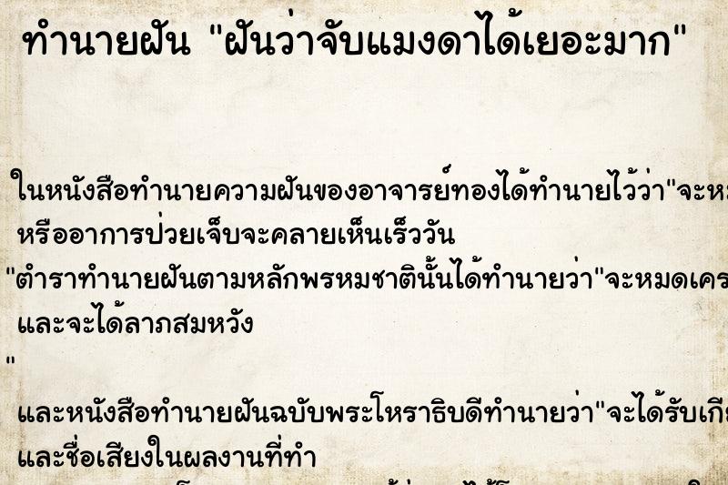 ทำนายฝันฝันว่าจับแมงดาได้เยอะมาก ทำนายฝันทำนายฝันฝันว่าจับแมงดาได้เยอะมาก