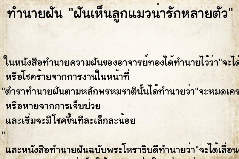 ทำนายฝัน ฝันเห็นลูกแมวน่ารักหลายตัว ทำนายฝัน ฝันเห็นลูกแมวน่ารักหลายตัว