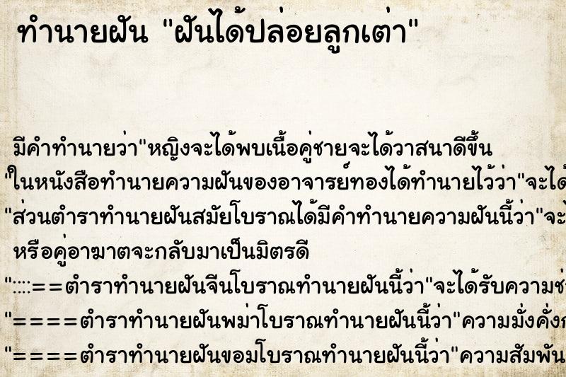 ทำนายฝัน ฝันได้ปล่อยลูกเต่า ทำนายฝัน ฝันได้ปล่อยลูกเต่า