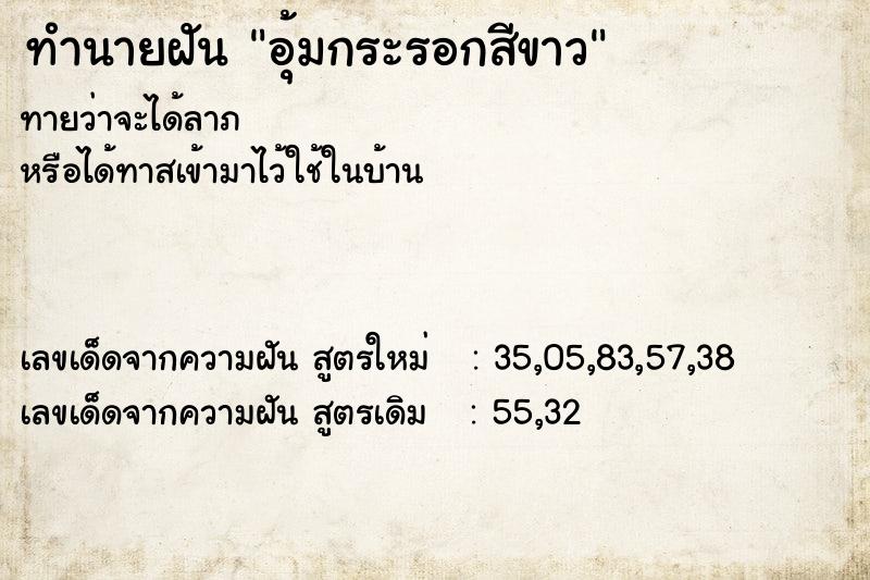 ทำนายฝันอุ้มกระรอกสีขาว ทำนายฝันทำนายฝันอุ้มกระรอกสีขาว