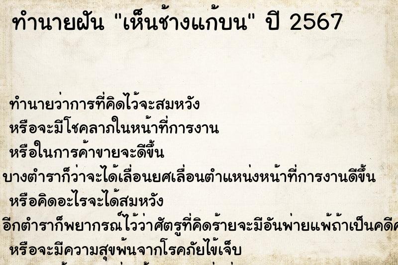 ทำนายฝัน เห็นช้างแก้บน ทำนายฝัน เห็นช้างแก้บน