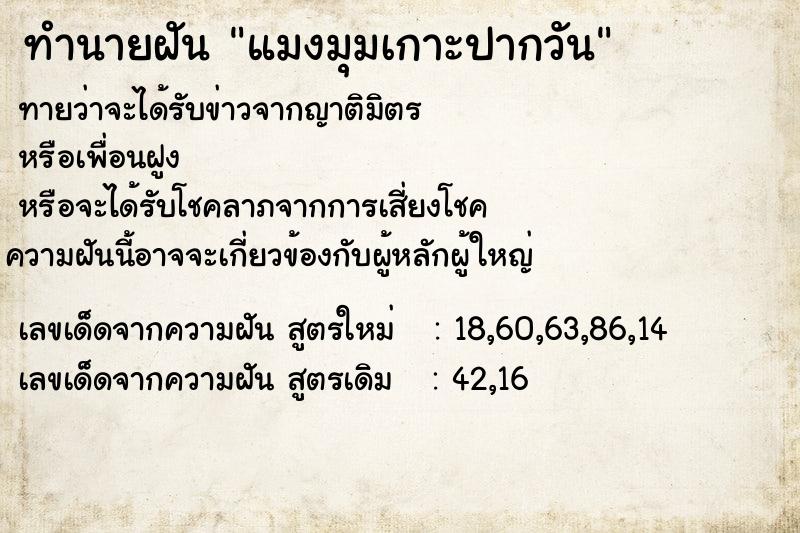 ทำนายฝัน แมงมุมเกาะปากวัน ทำนายฝัน แมงมุมเกาะปากวัน