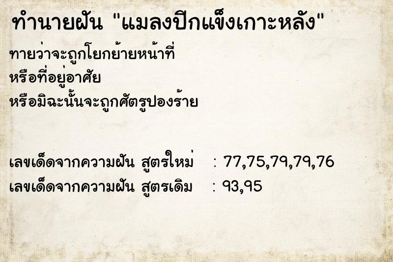 ทำนายฝันแมลงปีกแข็งเกาะหลัง ทำนายฝันทำนายฝันแมลงปีกแข็งเกาะหลัง