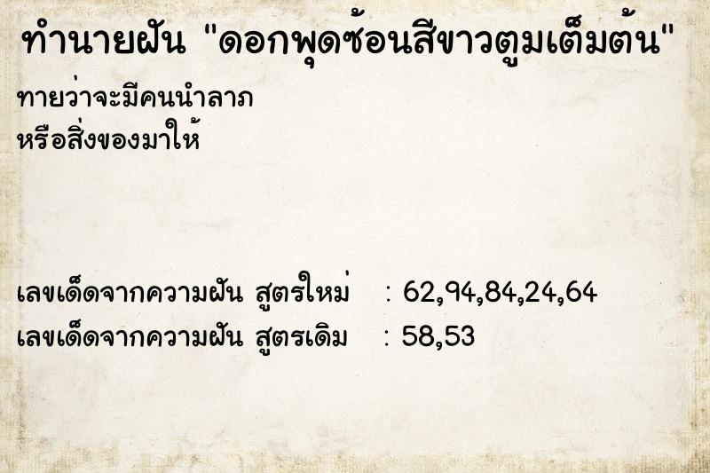 ทำนายฝันทำนายฝันดอกพุดซ้อนสีขาวตูมเต็มต้น