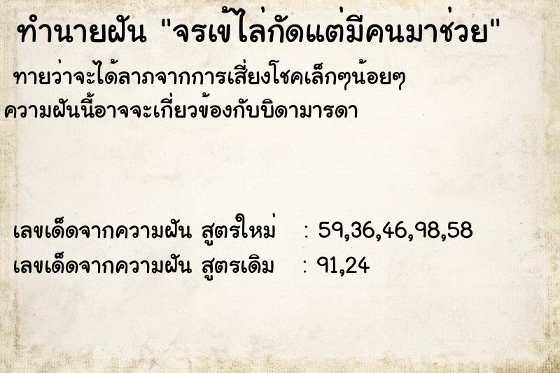 ทำนายฝัน จรเข้ไล่กัดแต่มีคนมาช่วย ทำนายฝัน จรเข้ไล่กัดแต่มีคนมาช่วย