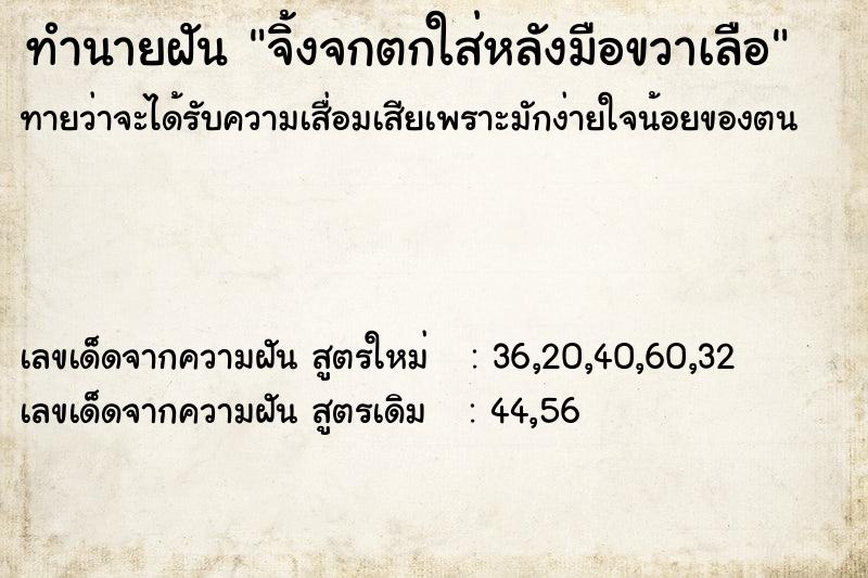 ทำนายฝันจิ้งจกตกใส่หลังมือขวาเลือ ทำนายฝันทำนายฝันจิ้งจกตกใส่หลังมือขวาเลือ