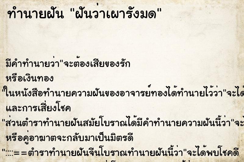 ทำนายฝัน ฝันว่าเผารังมด