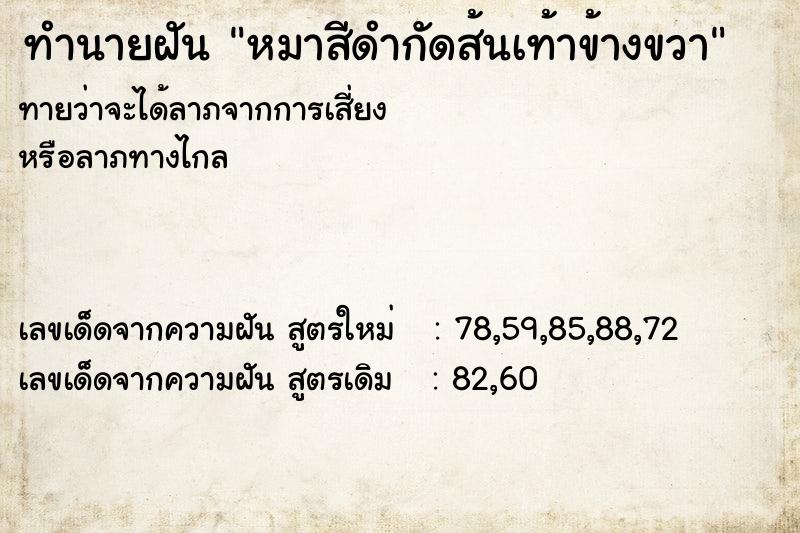 ทำนายฝันหมาสีดำกัดส้นเท้าข้างขวา ทำนายฝันทำนายฝันหมาสีดำกัดส้นเท้าข้างขวา