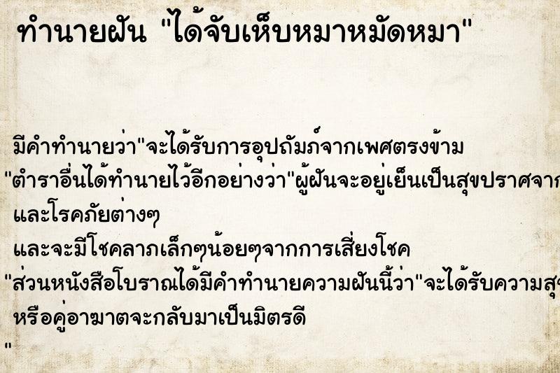 ทำนายฝัน ได้จับเห็บหมาหมัดหมา ทำนายฝัน ได้จับเห็บหมาหมัดหมา