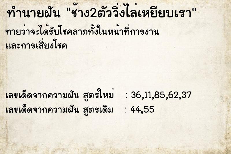 ทำนายฝัน ช้าง2ตัววิ่งไล่เหยียบเรา ทำนายฝัน ช้าง2ตัววิ่งไล่เหยียบเรา
