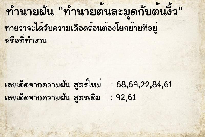 ทำนายฝันทำนายฝันทำนายต้นละมุดกับต้นงิ้ว
