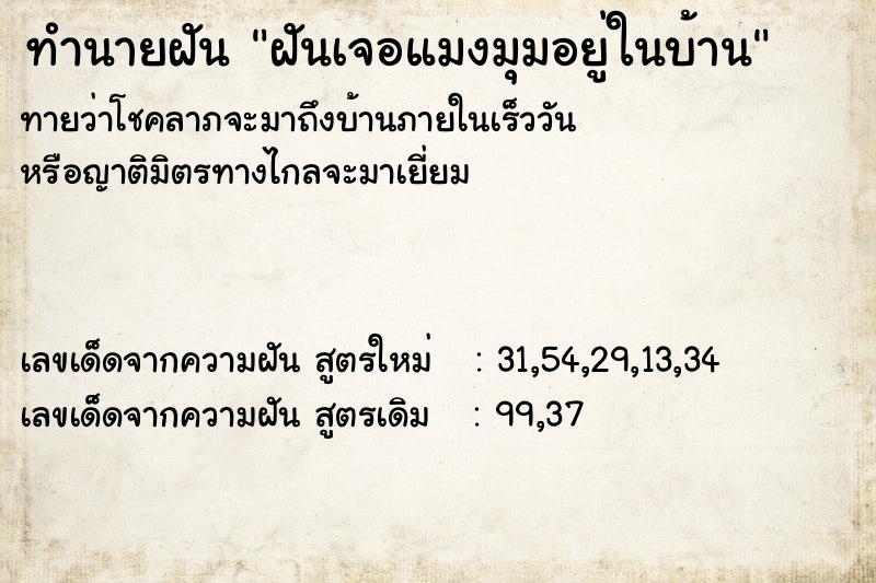 ทำนายฝัน ฝันเจอแมงมุมอยู่ในบ้าน ทำนายฝัน ฝันเจอแมงมุมอยู่ในบ้าน