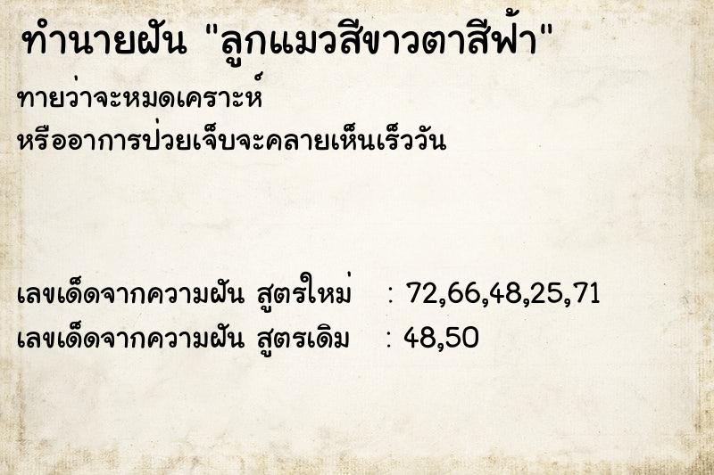 ทำนายฝันลูกแมวสีขาวตาสีฟ้า ทำนายฝันทำนายฝันลูกแมวสีขาวตาสีฟ้า