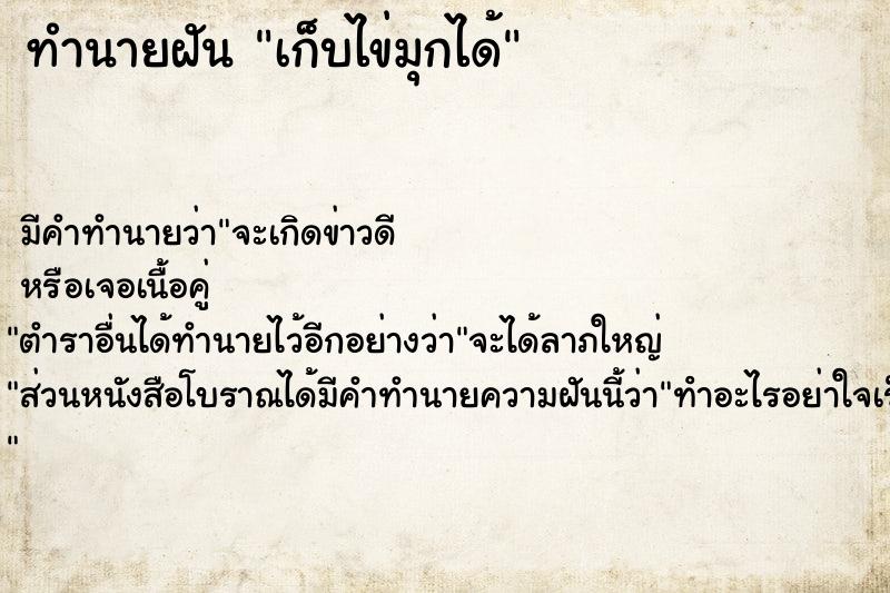 ทำนายฝัน เก็บไข่มุกได้ ทำนายฝัน เก็บไข่มุกได้
