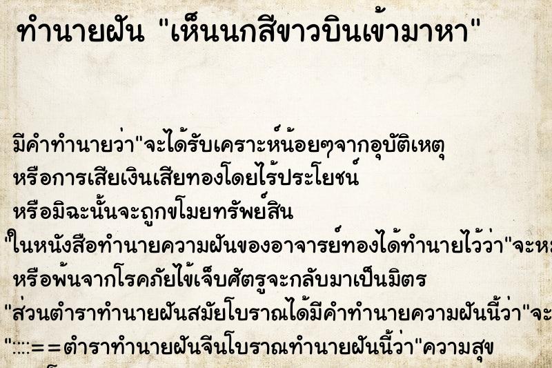 ทำนายฝัน เห็นนกสีขาวบินเข้ามาหา ทำนายฝัน เห็นนกสีขาวบินเข้ามาหา